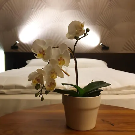 San Carlo Otel Lugano